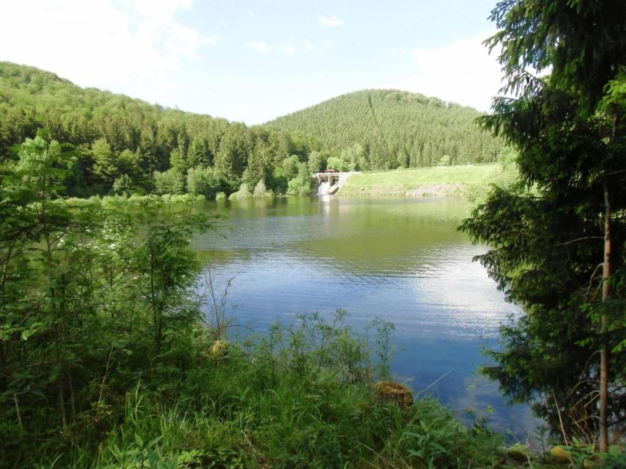 Detached Holiday Residence In The Wonderfully Beautiful Harz Kamschlacken Exterior photo